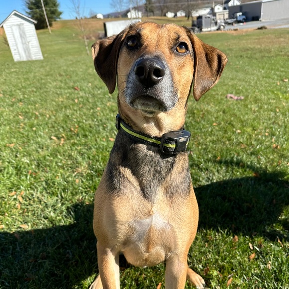 💜 - Picture 5 of 5